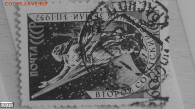 1957 второй советский спутник земли - 20221107-195839-446