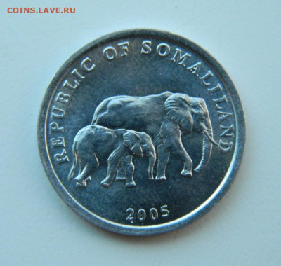 Сомалиленд 5 шиллингов 2005 г. (Фауна) до 14.11.22 - DSCN0847.JPG