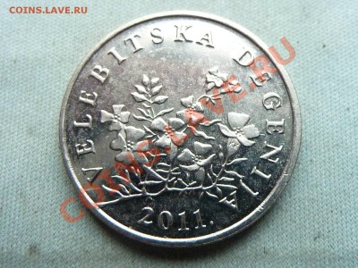 ХОРВАТИЯ 50 липа 2011г. цветочки до 8.12.11 в 22-00 - MEMO0006.JPG