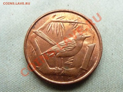 КАЙМАНОВЫ ОСТРОВА 1с  2002г.ПТИЧКА до 8.12.11 в 22-00 - MEMO0025.JPG
