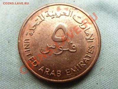 АРАБСКИЕ ЭМИРАТЫ 5 FILS ФАО РЫБКА  до 8.12.11 в 22-00 - MEMO0032.JPG