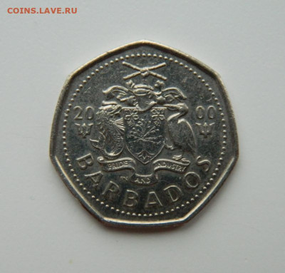 Барбадос 1 доллар 2000 г. (Фауна) до 15.11.22 - DSCN4142.JPG