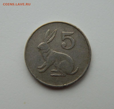 Зимбабве 5 центов 1990 г. (Фауна). до 15.11.22 - DSCN4147.JPG