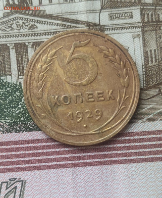 5 копеек 1929 - IMG_20221109_132603