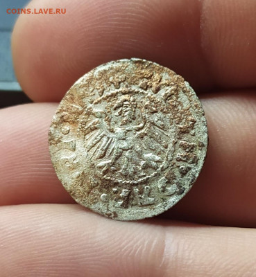 шиллинг рижского архиепископа Вильгельма (1539—1563). - IMG_20221108_183406