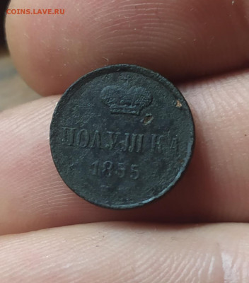 Полушка 1855 год. До 13.11.22. 22-00 Мск. - IMG_20221109_172912