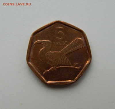 Ботсвана 5 тхебе 1998 г. (Фауна). до 15.11.22 - DSCN4157.JPG
