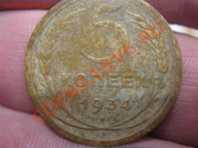 5к 32,34,35,36,38г - IMG_0638 (Custom).JPG