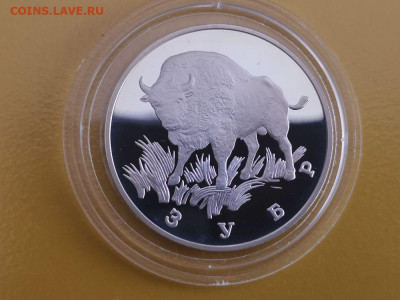 1р 1997 Кр.книга- Зубр. Пруф, Ag900, до 17.11 - Y КК Зубр-1