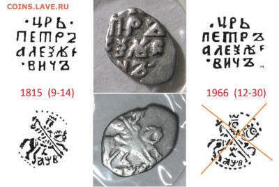 Чешуйка Петра на определение - ххх3