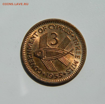 Британский Кипр 3 милс 1955 г. (Рыба) до 16.11.22 - DSCN1015.JPG