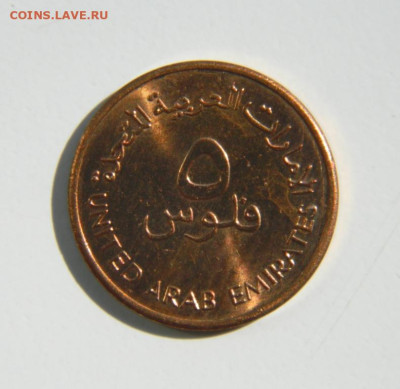 ОАЭ 5 филсов 1996 г. (Фауна). до 16.11.22 - DSCN0810.JPG