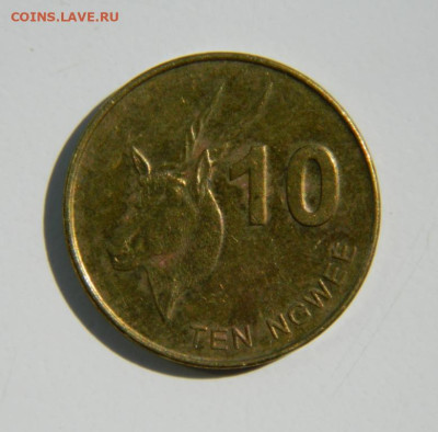 Замбия 10 нгве 2012 г.(Фауна) до 16.11.22 - DSCN0786.JPG