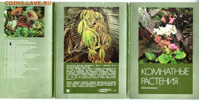 КОМНАТНЫЕ РАСТЕНИ 1987 г. Вып.3 до 18.11.22 г. в 23.00 - 028