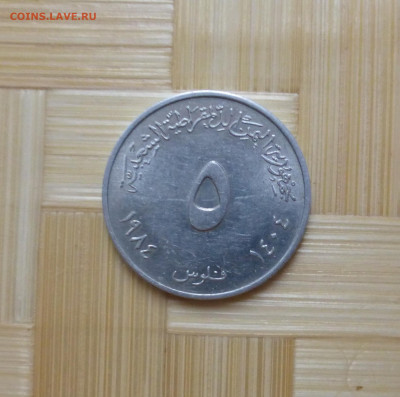 Йемен, 5 филсов 1984 г. - й 5 1.JPG