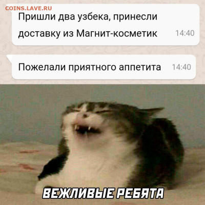 юмор - lvMn__sPv6g