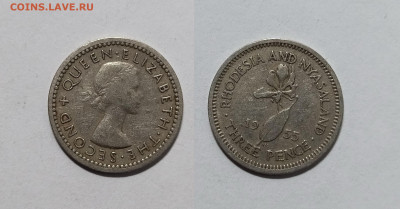 Родезия и Ньясаленд 3 пенса 1955 года - 16.11 - IMG_20221111_201343