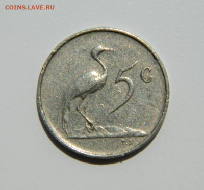 Южная Африка 5 центов 1965 г. (Фауна) до 17.11.22 - DSCN1158.JPG