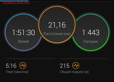 Кто-нибудь бегает? - Screenshot_20221113-105853_Connect
