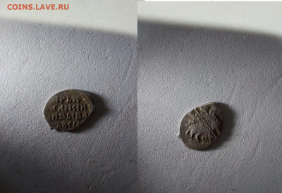 грозный иван чешуя до 16 11 - image (14)