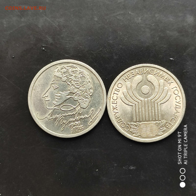 1 рубль Пушкин и 1 рубль СНГ до 19.11.22 г. до 22.00 - 1668341393037