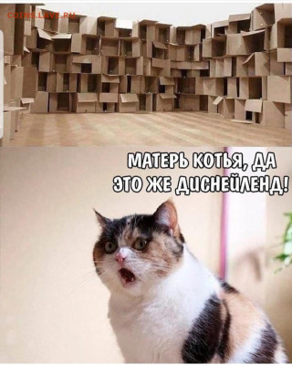 юмор - Screenshot_20221113-204556_Instagram