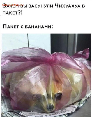 юмор - Screenshot_20221114-065942_Instagram