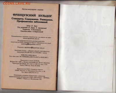 ФРАНЦУЗСКИЙ БУЛЬДОГ 2008 г. до 20.11.22 г. в 23.00 - 002