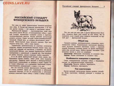 ФРАНЦУЗСКИЙ БУЛЬДОГ 2008 г. до 20.11.22 г. в 23.00 - 004