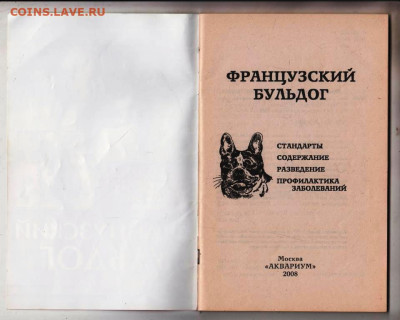 ФРАНЦУЗСКИЙ БУЛЬДОГ 2008 г. до 20.11.22 г. в 23.00 - 006