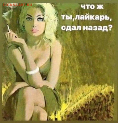 юмор - IMG-20221114-WA0003