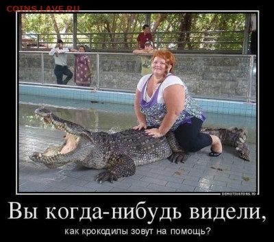 юмор - Скриншот 14-11-2022 181121