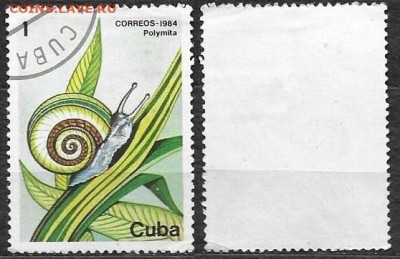 Марки Америки. ФИКС. Куба Улитка - Куба 1984