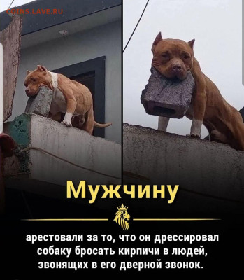 юмор - Screenshot_20221115-095923_Instagram