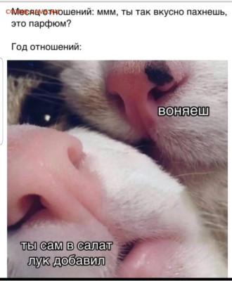юмор - Screenshot_20221115-065532_Instagram