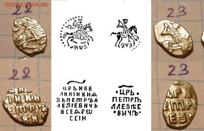 Чешуя ПетрI на определение из комплекса - P1030293.JPG