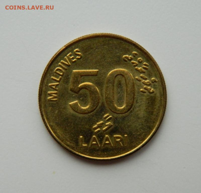 Мальдивские острова 50 лари 2008 г. (Фауна) до 21.11.22 - DSCN4159.JPG