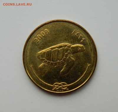 Мальдивские острова 50 лари 2008 г. (Фауна) до 21.11.22 - DSCN4160.JPG