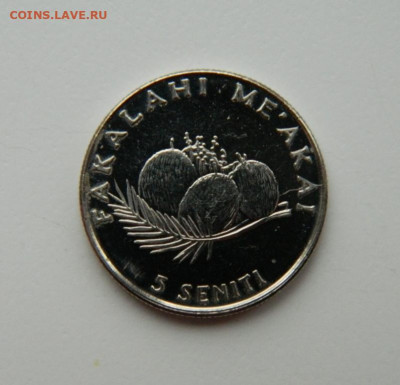 Тонга 5 сенити 2005 г.(Фауна) до 21.11.22 - DSCN4167.JPG