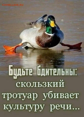 юмор - i