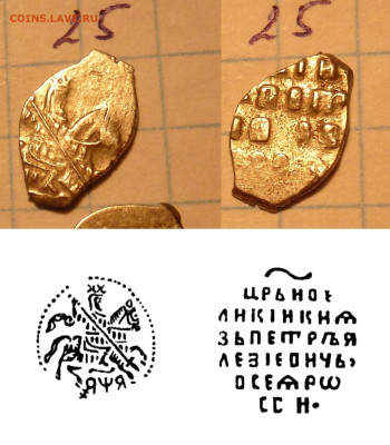 Чешуя ПетрI на определение из комплекса - 1665.JPG
