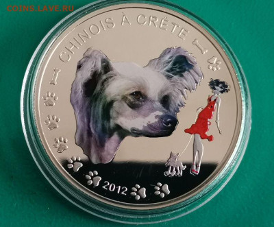 1000фр 2012 Бенин- Китайская хохлатая, серебро, до 22.11 - Я Собака Хохлатая-2