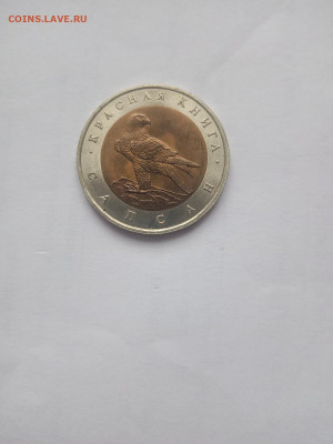 50 рублей 1994 Сапсан - IMG_20221117_104126(1)