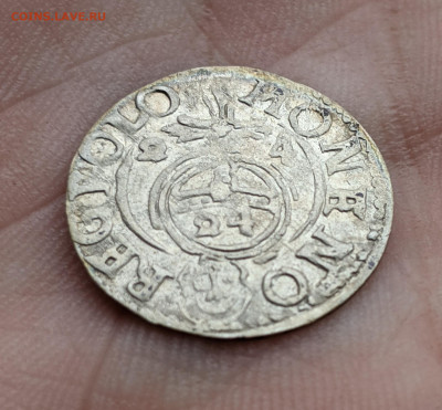 Полторак 1624, Сигизмунд III Ваза, Быдгощ до 21.11.22 - 22222
