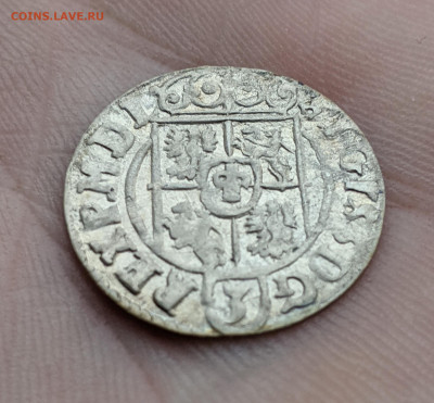 Полторак 1624, Сигизмунд III Ваза, Быдгощ до 21.11.22 - 11111
