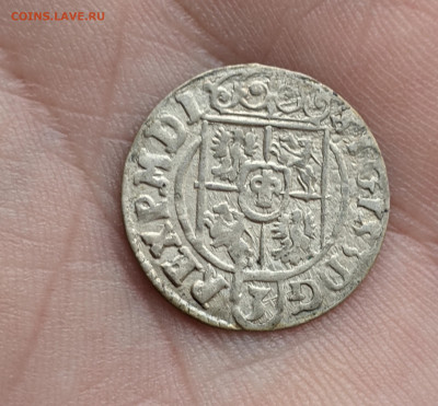 Полторак 1624, Сигизмунд III Ваза, Быдгощ до 21.11.22 - 1111