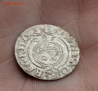Полторак 1625, Сигизмунд III Ваза, Быдгощ до 21.11.22 - 22222