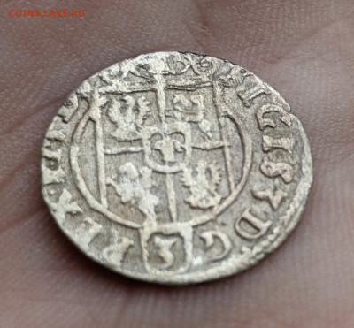 Полторак 1625, Сигизмунд III Ваза, Быдгощ до 21.11.22 - 11111