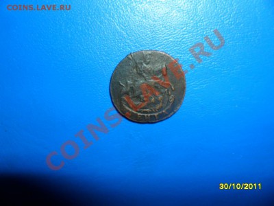 денга 1792 км, короткий аук - SAM_4719.JPG