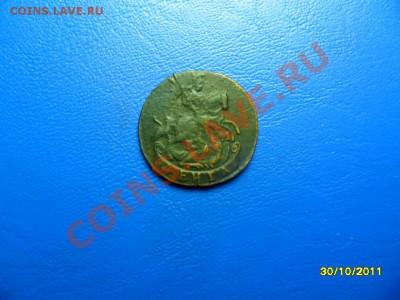 денга 1792 км, короткий аук - SAM_4746.JPG